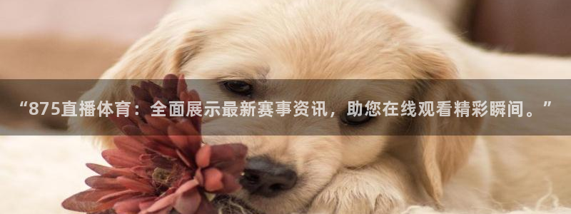 “875直播体育：全面展示最新赛事资讯，助您在线观看精彩瞬间。”