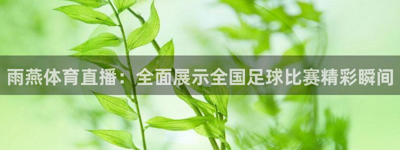 雨燕体育直播：全面展示全国足球比赛精彩瞬间